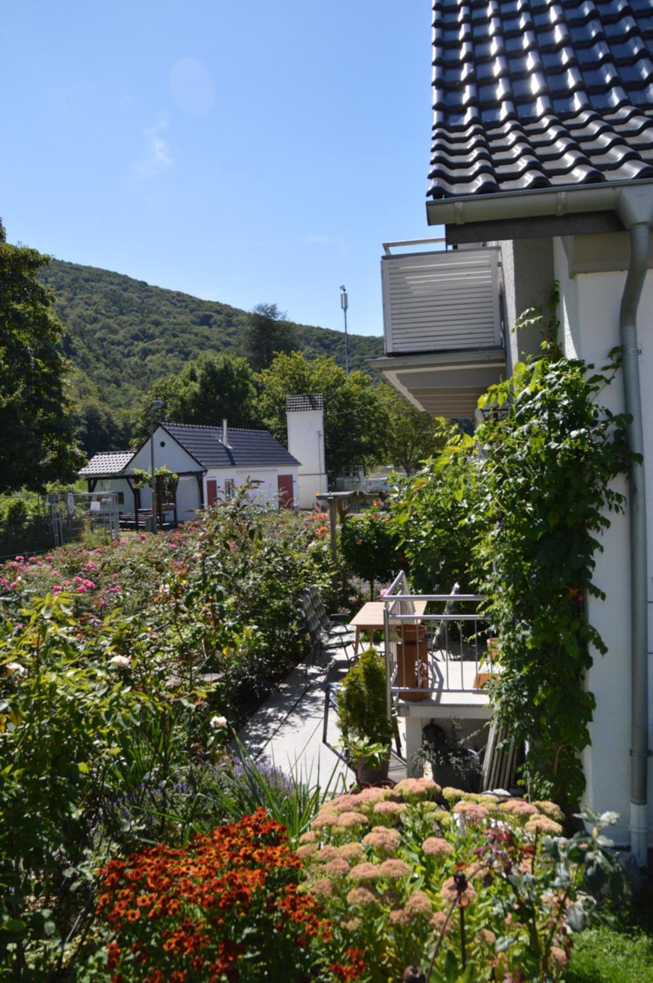 Ferienwohnung Hochgewaechs บาดนอยเอินอาห์-อาร์ไวเลอร์ ภายนอก รูปภาพ